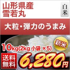 �V�� �R�`���Y ���ہ�8�N�A����A�]�������� 10kg�i2kg�~5�܁j�y���������z�y�����o�ׁz�y�đ܂͒��f�[�U��z�ߘa8�N(2026�N)�Y