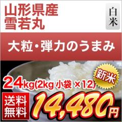 �V�� �R�`���Y ���ہ�8�N�A����A�]�������� 24kg�i2kg�~12�܁j�y���������z�y�����o�ׁz�y�đ܂͒��f�[�U��z�ߘa8�N(2026�N)�Y