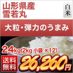 �R�`���Y ���� ���� ��7�N�A����A�]���� 24kg�i2kg�~12�܁j�y���������z�y�����o�ׁz�y�đ܂͒��f�[�U��z���� �ߘa7�N�Y 2025�N�Y