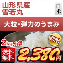 �V�� �R�`���Y ���ہ�8�N�A����A�]�������� 2kg�y���������z�y�����o�ׁz�y�đ܂͒��f�[�U��z�ߘa8�N(2026�N)�Y