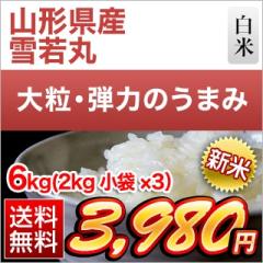 �V�� �R�`���Y ���ہ�8�N�A����A�]�������� 6kg (2kg�~3��) �y���������z�y�����o�ׁz�y�đ܂͒��f�[�U��z�ߘa8�N(2026�N)�Y
