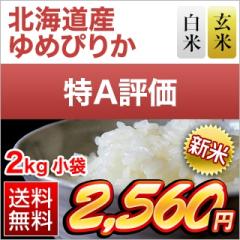 �V�� �k�C���Y ��߂҂肩�q15��A���̓�A�]���r���āE����  2kg�y���������z�y�����o�ׂ͔��Ă̂݁z�y�đ܂͒��f�[�U��z�ߘa8�N(2026