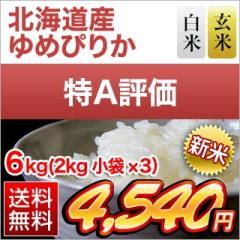 �V�� �k�C���Y ��߂҂肩�q15��A���̓�A�]���r���āE����  6kg (2kg�~3��)  �y���������z�y�����o�ׂ͔��Ă̂݁z�y�đ܂͒��f�[�U�
