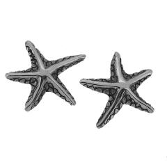 qgf X^bYsAX 2P p nCA } sAX CO Vo[925  Vo[ANZT[ Y jp