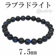 7.5mm 16.5cm i ubN uhCg uXbg (fB[XSTCY) VR p[Xg[ uXbg