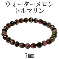 EH[^[g} uXbg 10 a VR p[Xg[ uXbg