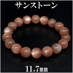 TXg[ i uXbg 11.7mm 19cm VR p[Xg[ TXg- V[TXg[ IW TXg[uX 