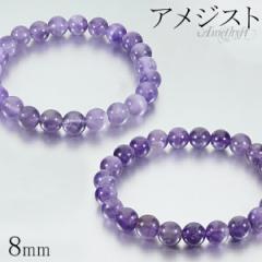 �A���W�X�g �u���X���b�g 8mm 16.5�`18.5cm S�`LL �T�C�Y 2�� �a���� �V�R�� �p���[�X�g�[�� �A���V�X�g �����Y ���f�B�[�X �r�� ����