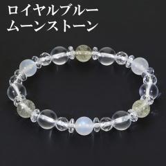 Cu[[Xg[ `NH[c  uXbg 8mm 15.5cm fB[XS TCY a 6 [Xg[ u[