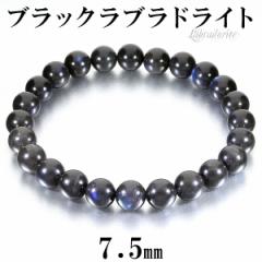 ubNuhCg i uXbg 7.5mm 16.5cm fB[XS TCY uhCg VR p[Xg[ ubN u[