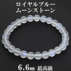 Cu[[Xg[ ō XJY uXbg 6.6mm 16.5cm fB[XS TCY a 6 [Xg[ VR