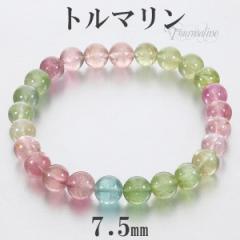 g} AtKjX^Y uXbg 7.5mm 18cm YM fB[XL TCY LfB[J[ 10 a VR sN