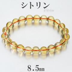 Vg uXbg 8.5mm 17.5cm Y M fB[X L TCY 11 a VguXbg VgNH[c VR p[