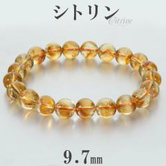 �V�g���� �u���X���b�g 9.7mm 19cm �����Y L ���f�B�[�X LL �T�C�Y �V�g�����u���X���b�g �V�g�����N�H�[�c �V�R�� �p���[�X�g�[�� ���^ 