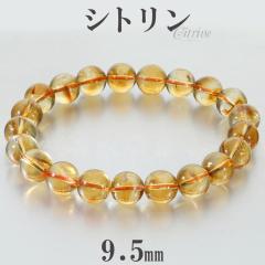 �V�g���� �u���X���b�g 9.5mm 18.5cm �����Y L ���f�B�[�X LL �T�C�Y �V�g�����u���X���b�g �V�g�����N�H�[�c �V�R�� �p���[�X�g�[�� ��