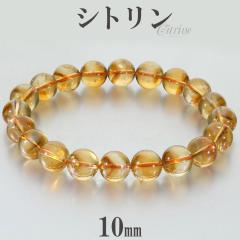 �V�g���� �u���X���b�g 10mm 18.5cm �����Y L ���f�B�[�X LL �T�C�Y �V�g�����u���X���b�g �V�g�����N�H�[�c �V�R�� �p���[�X�g�[�� ���^