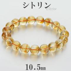 �V�g���� �u���X���b�g 10.5mm 18cm �����Y M ���f�B�[�X L �T�C�Y �V�g�����u���X���b�g �V�g�����N�H�[�c �V�R�� �p���[�X�g�[�� ���^ 
