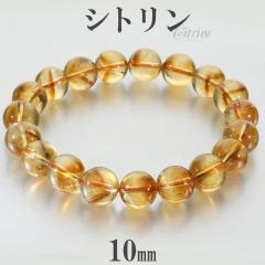 �V�g���� �u���X���b�g 10mm 17.5cm �����Y M ���f�B�[�X L �T�C�Y �V�g�����u���X���b�g �V�g�����N�H�[�c �V�R�� �p���[�X�g�[�� ���^ 