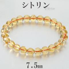 �V�g���� �u���X���b�g 7.5mm 17.5cm �����Y M ���f�B�[�X L �T�C�Y �V�g�����u���X���b�g �V�g�����N�H�[�c �V�R�� �p���[�X�g�[�� ���^