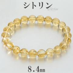 �V�g���� �u���X���b�g 8.4mm 17cm ���f�B�[�X M �T�C�Y �V�g�����u���X���b�g �V�g�����N�H�[�c �V�R�� �p���[�X�g�[�� ���^ �C�G���[ 