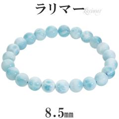 ���i�� �����}�[ �u���X���b�g 8.5mm 18.5cm �����Y L ���f�B�[�X LL �T�C�Y �����}�[�u���X���b�g �V�R�� �p���[�X�g�[�� �q�[�����O �X
