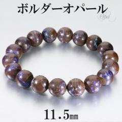 {_[Ip[ uXbg 11.5mm 19cm Y L fB[X LL TCY Ip[uXbg 10 a Ip[ vVXIp