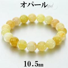 Ip[ CG[ uXbg 10.5mm 18.5cm Y L fB[X LL TCY nj[Ip[ CG[Ip[ Ip[uXbg 