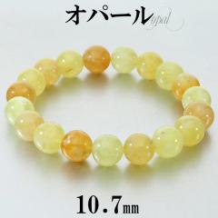 Ip[ CG[ uXbg 10.7mm 18.5cm Y L fB[X LL TCY nj[Ip[ CG[Ip[ Ip[uXbg 