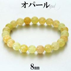 Ip[ CG[ uXbg 8mm 17.5cm Y M fB[X L TCY nj[Ip[ CG[Ip[ Ip[uXbg VR