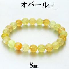 Ip[ CG[ uXbg 8mm 17.5cm Y M fB[X L TCY nj[Ip[ CG[Ip[ Ip[uXbg VR