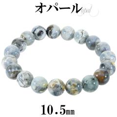 Ip[ RIp[ uXbg 10.5mm 18.5cm Y L fB[X LL TCY Ip[uXbg u[ O[ zCg V