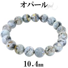 Ip[ RIp[ uXbg 10.5mm 18cm Y M fB[X L TCY Ip[uXbg u[ O[ zCg VR