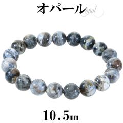 Ip[ RIp[ uXbg 10.5mm 18cm Y M fB[X L TCY Ip[uXbg u[ O[ zCg VR