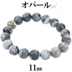 Ip[ RIp[ uXbg 11mm 18cm Y M fB[X L TCY Ip[uXbg u[ O[ zCg VR