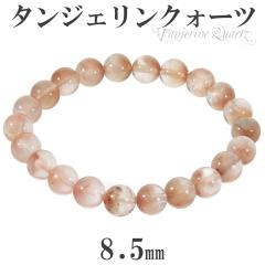 ^WFNH[c uXbg 8.5mm 17cm fB[X M TCY ^WFNH[c IWNH[c }_NH[c