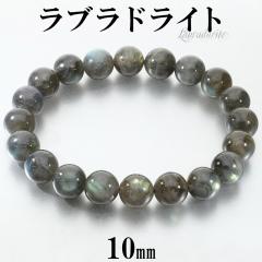 ���u���h���C�g �u���X���b�g 10mm 18.5cm �����Y L ���f�B�[�X LL �T�C�Y �C�G���[ �O���[�� �u���[ ���u���h���C�g�u���X���b�g �V�R��