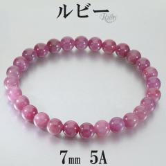 ���r�[ �u���X���b�g 5A �O���[�h 7mm 19cm �����Y L ���f�B�[�X LL �T�C�Y ���r�[�u���X���b�g �V�R�� �p���[�X�g�[�� �r�� ���� 7�� �a