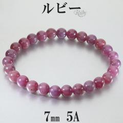 ���r�[ �u���X���b�g 5A �O���[�h 7mm 18.5cm �����Y L ���f�B�[�X LL �T�C�Y ���r�[�u���X���b�g �V�R�� �p���[�X�g�[�� �r�� ���� 7�� 