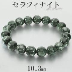 �Z���t�B�i�C�g ���i�� �u���X���b�g 10.3mm 18cm �����Y M ���f�B�[�X L �T�C�Y �V�R�� �p���[�X�g�[�� �N���m�N���A �Z���t�B�i�C�g�u