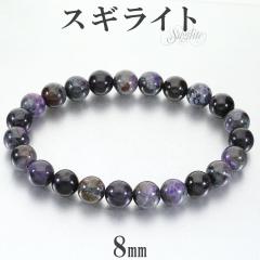 �X�M���C�g ���V�A�Y �u���X���b�g 8mm 17.5cm �����Y M ���f�B�[�X L �T�C�Y �X�M���C�g�u���X���b�g ���� �V�R�� �p���[�X�g�[�� �q�[
