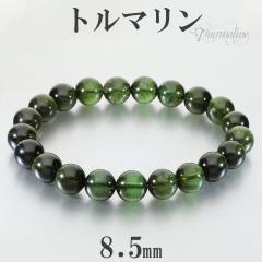 ���i�� �O���[���g���}���� �u���X���b�g 8.5mm 17cm ���f�B�[�X M �T�C�Y �g���}���� �O���[�� �V�R�� �p���[�X�g�[�� �� 10�� �a���� 