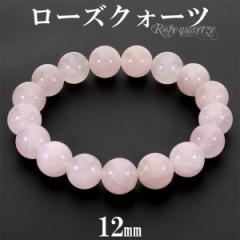 [YNH[c uXbg 12mm 17.5`18.5cm M`LLTCY VR p[Xg[ [YNI[c fB[X  r  sN 