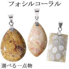 tHVR[ Vo[ y_ggbv ʌ Iׂ _ gbv̂ tHbVR[ R[ X TS y_g 