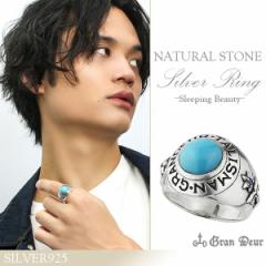 �X���[�s���O�r���[�e�B�[ �^�[�R�C�Y �T�t�@�C�A �V���o�[�����O 19�`23�� �����Y �����O �V���o�[�A�N�Z�T���[ �j���p �w�� �V�R�� �V