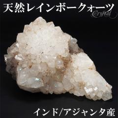 VR C{[NH[c  NX^[ Ch AW^ Y 383g  NX^[ VRC{[NH[c VR   