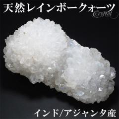 VR C{[NH[c  NX^[ Ch AW^ Y 193g  NX^[ VRC{[NH[c VR   