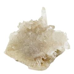 q} NE}iY NX^[ 170g VR p[Xg[  NX^[ q}   VR u