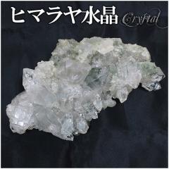 i  NX^[ q}Y p[@eB[kJ }jJ 461g NX^[ q} NX^[ VR u