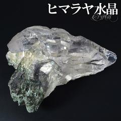 i  NX^[ ۓ q}Y Ch }jn[ 361g NX^[ q} NX^[ VR p[Xg[ u