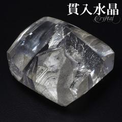 �ѓ����� �������� ��24g �V�R�� �p���[�X�g�[�� �ѓ� ���� ���� �V�R���� �������� �N�H�[�c �N�I�[�c �z�� �z�� �W�{ �V�R�Ό���